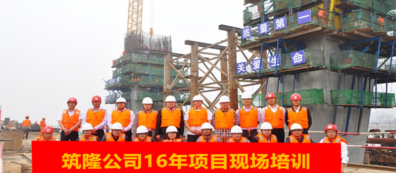 Zolo organizes new employees to come to the climbing formwork project site and have a visit for training.